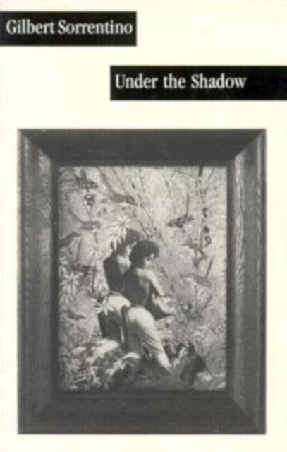 Under the Shadow, Paperback / softback Book