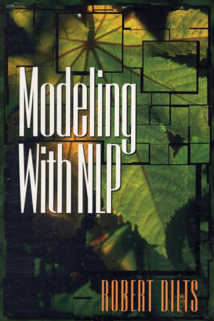 Modeling with NLP, Paperback / softback Book