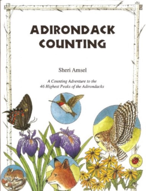 Adirondack Counting Book, Paperback / softback Book
