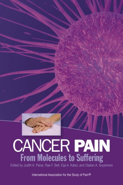 Cancer Pain : From Molecules to Suffering, Paperback Book