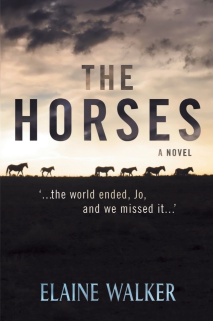 The Horses : '...the World Ended, Jo, and We Missed It...', Paperback / softback Book