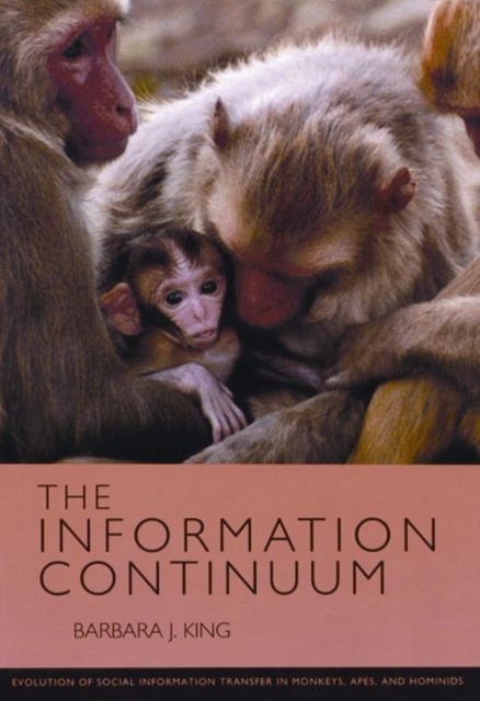 The Information Continuum : Evolution of Social Information Transfer in Monkeys, Apes, and Hominids, Paperback / softback Book