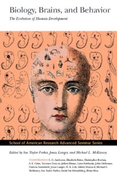 Biology, Brains, & Behavior : The Evolution of Human Development, Paperback / softback Book