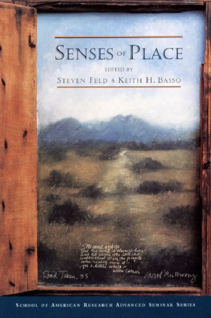 Senses of Place, Paperback / softback Book
