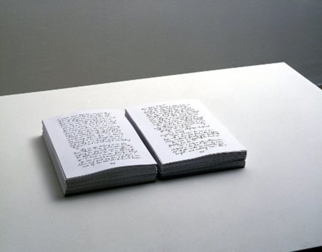 Kris Martin : Idiot, Paperback / softback Book