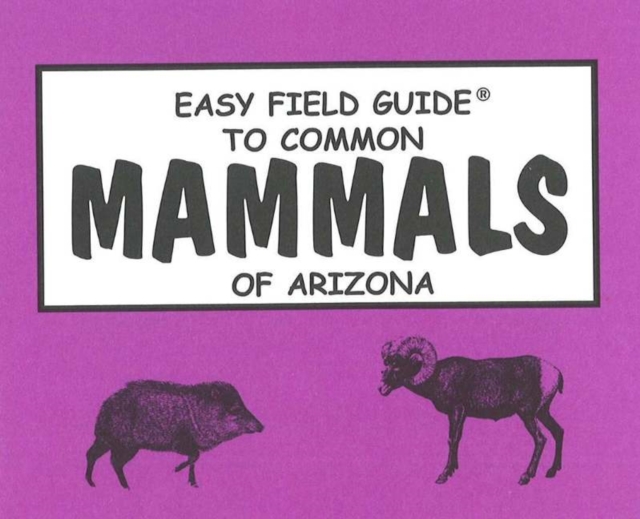 Easy Field Guide to Common Mammals of Arizona, Paperback / softback Book