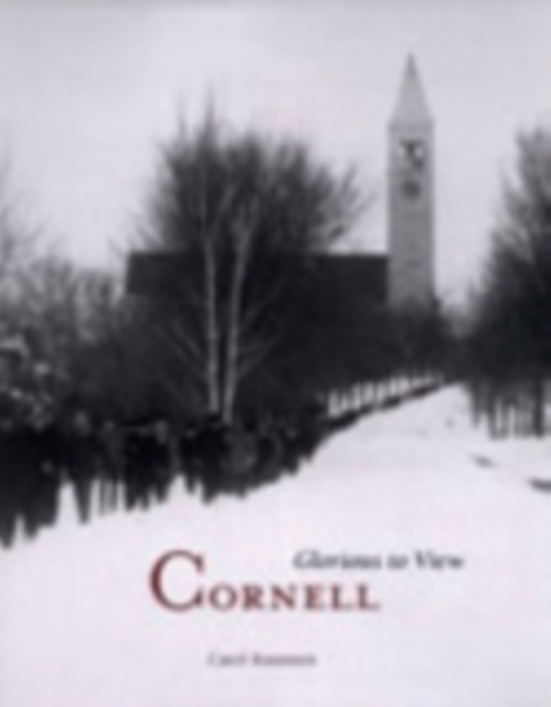 Cornell : Glorious to View, Hardback Book