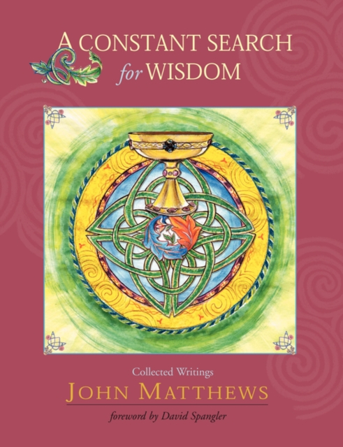 A Constant Search for Wisdom, Paperback / softback Book