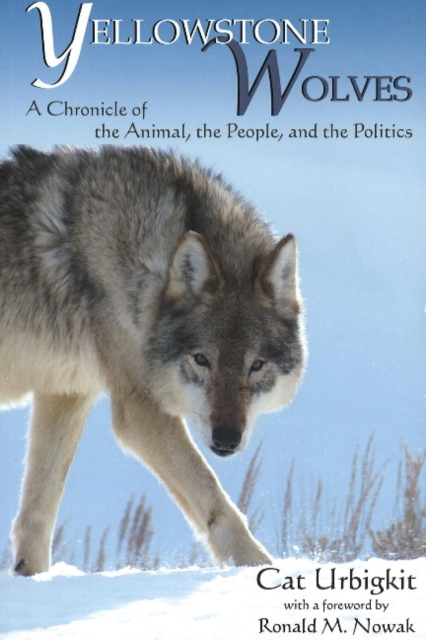 Yellowstone Wolves : A Chronicle of the Animal, the People & the Politics, Paperback / softback Book