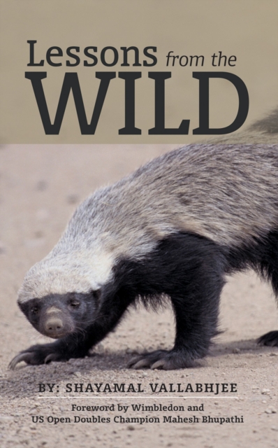 Lessons from the Wild, Paperback / softback Book