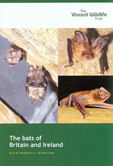The Bats of Britain and Ireland, Paperback / softback Book