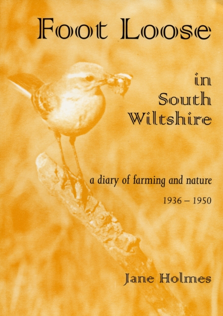 Foot Loose in South Wiltshire, Paperback / softback Book