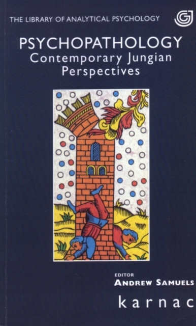 Psychopathology : Contemporary Jungian Perspectives, Paperback / softback Book