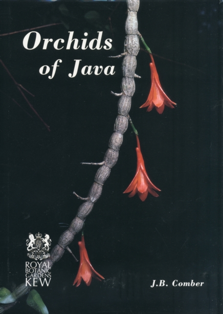 Orchids of Java, Hardback Book