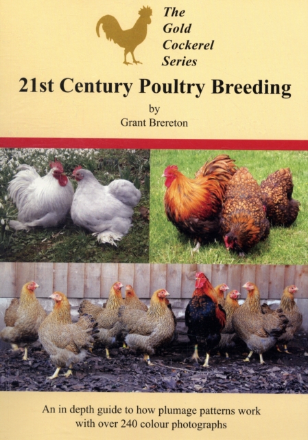 21st Century Poultry Breeding, Paperback Book