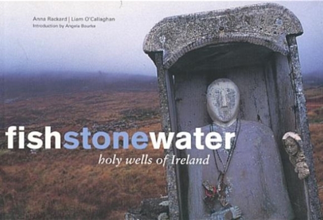 Fish Stone Water : The Holy Wells of Ireland, Hardback Book