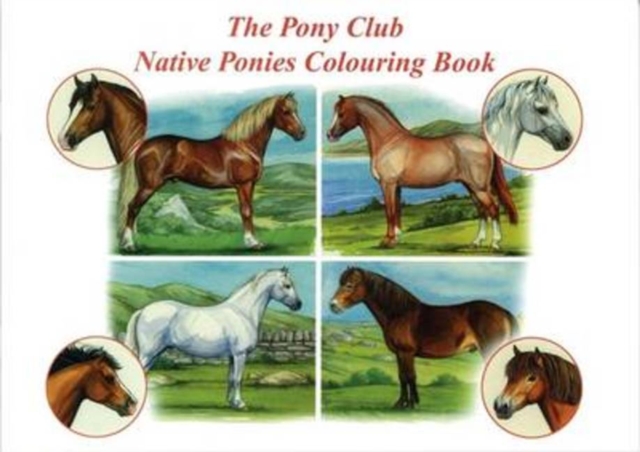 The Pony Club Native Ponies Colouring Book, Paperback / softback Book