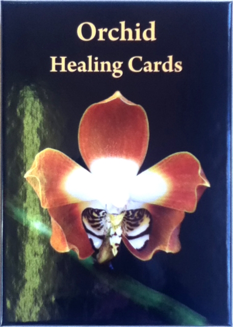 Orchid Healing Cards, Paperback / softback Book