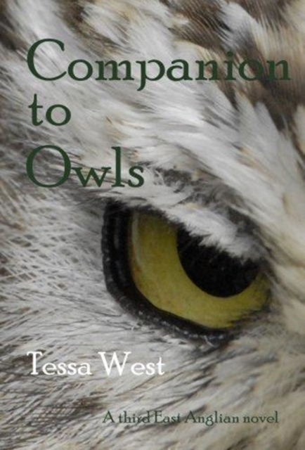 Companion to Owls, Paperback / softback Book