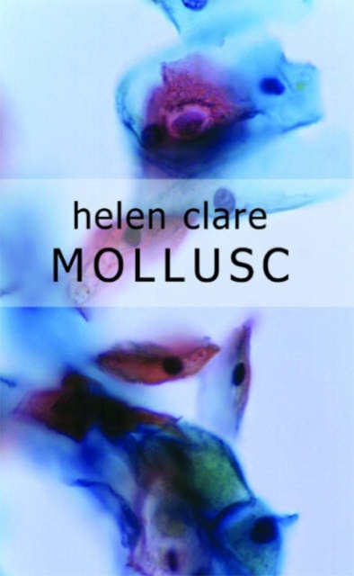 Mollusc, Paperback / softback Book