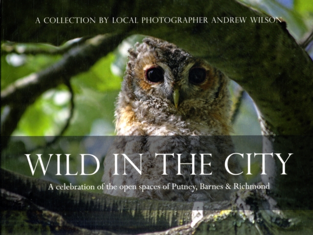 Wild in the City : A Celebration of the Open Spaces of Putney, Barnes and Richmond, Paperback / softback Book