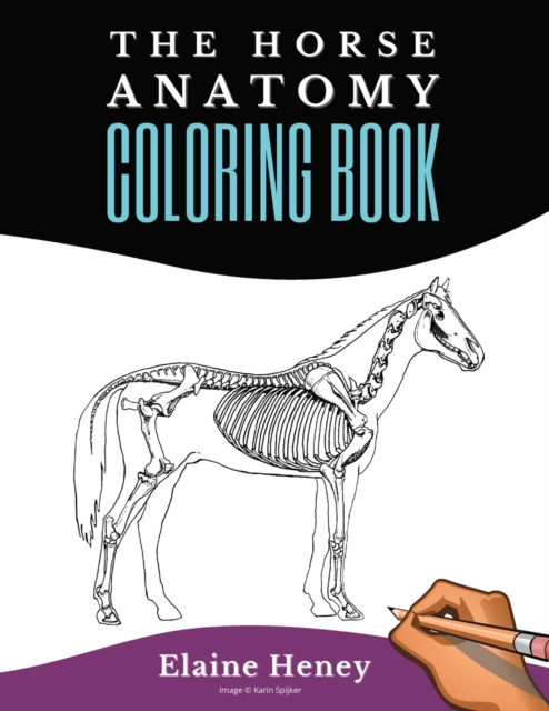 Horse Anatomy Coloring Book For Adults : Self Assessment Equine Coloring Workbook: Test Your Knowledge - For Equestrians & Veterinary Students, Paperback / softback Book