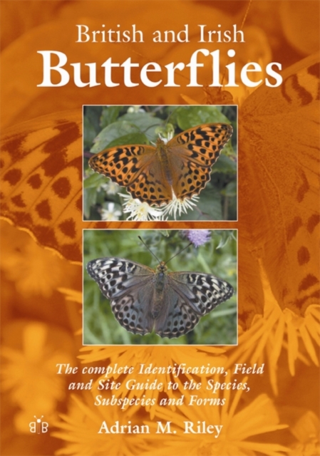 British and Irish Butterflies : The Complete Identification, Field and Site Guide to the Species, Subspecies and Forms, Paperback / softback Book