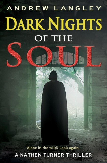 Dark Nights of the Soul: A Nathen Turner Thriller, Paperback / softback Book