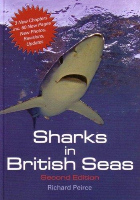 Sharks in British Seas, Paperback / softback Book