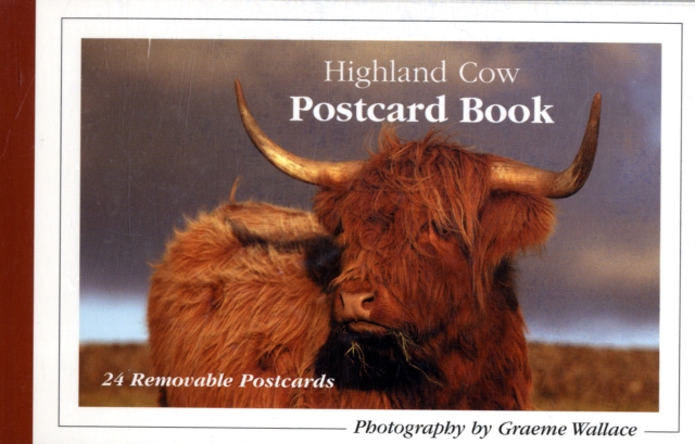 Highland Cow Postcard Book, Postcard book or pack Book