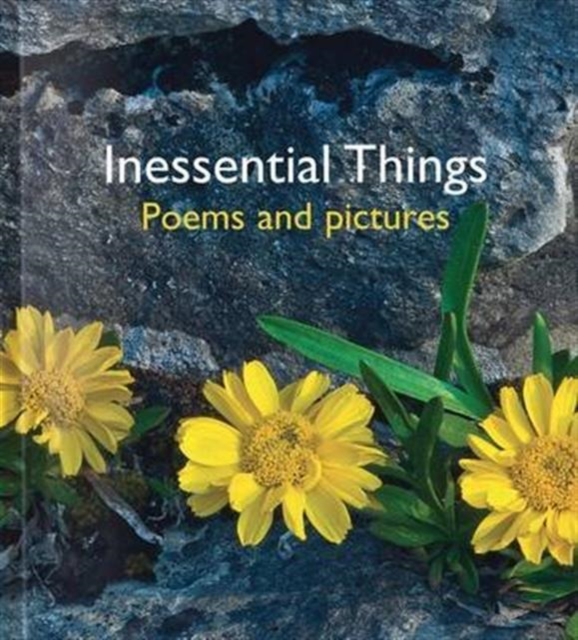 Inessential Things : Poems and Pictures, Hardback Book