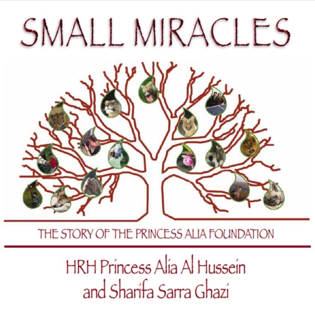 Small Miracles : The Story of the Princess Alia Foundation, Hardback Book