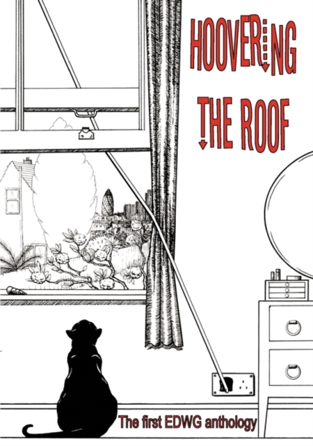 Hoovering the Roof, Paperback / softback Book