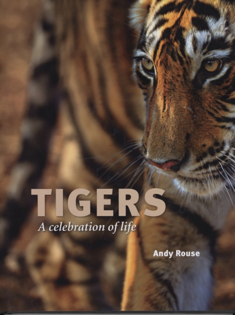 Tigers : A Celebration of Life, Hardback Book