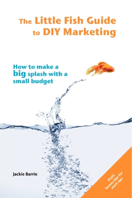 The Little Fish Guide to DIY Marketing : How to Make a Big Splash with a Small Budget, Paperback / softback Book