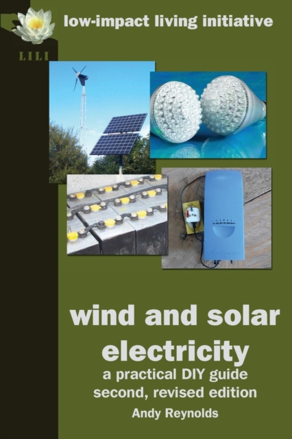 Wind and Solar Electricity : A DIY Guide, Paperback Book