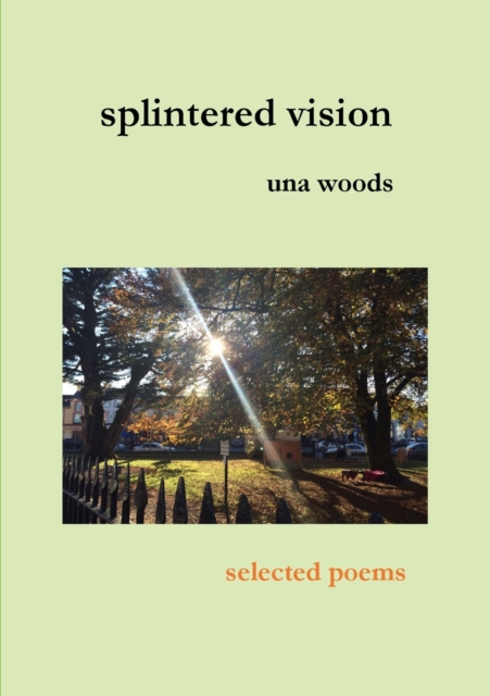 splintered vision, Paperback / softback Book