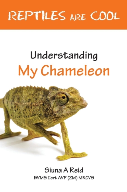 Reptiles are Cool! : Understanding My Chameleon, Paperback / softback Book