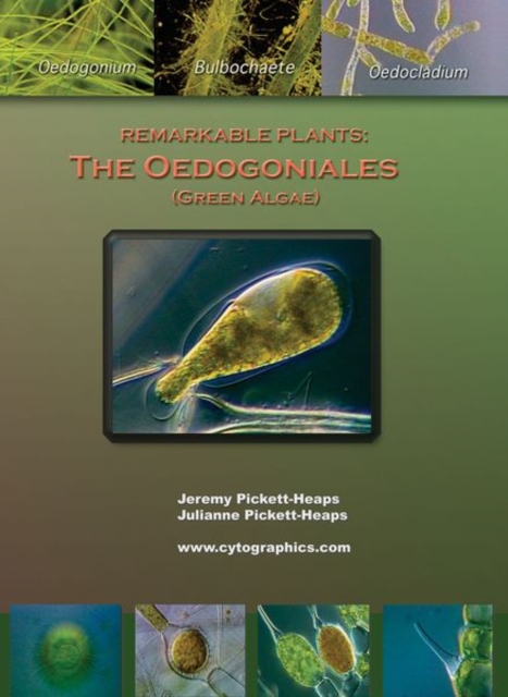 Remarkable Plants : The Oedogoniales, CD-ROM Book