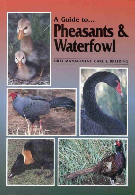 Pheasants and Waterfowl, Paperback / softback Book