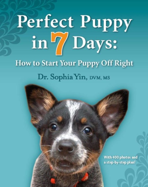 Perfect Puppy in 7 Days : How to Start Your Puppy Off Right, Paperback / softback Book