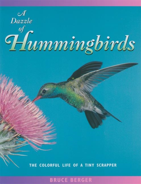 A Dazzle of Hummingbirds : The Colorful Life of a Tiny Scrapper, Paperback / softback Book