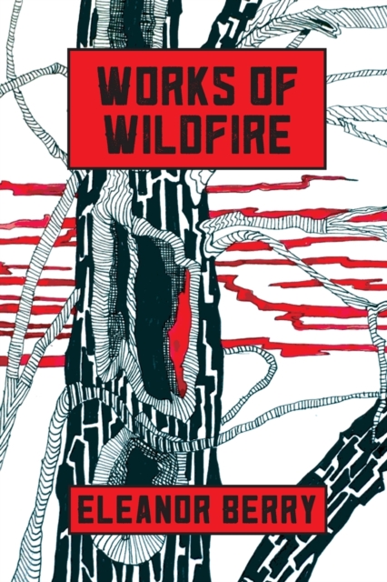 Works of Wildfire : poems, Paperback / softback Book