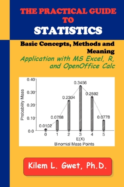 The Practical Guide to Statistics : Applications with Excel, R, and ...