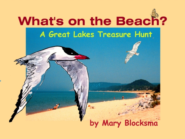 What's On the Beach? : A Great Lakes Treasure Hunt, Paperback / softback Book