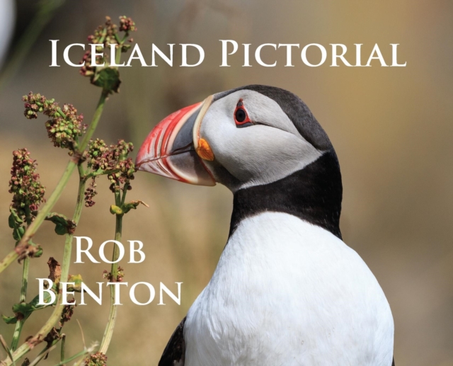 Iceland Pictorial, Hardback Book