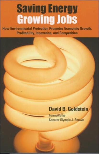 Saving Energy, Growing Jobs : How Environmental Protection Promotes Economic Growth, Competition, Profitability and Innovation, Paperback / softback Book
