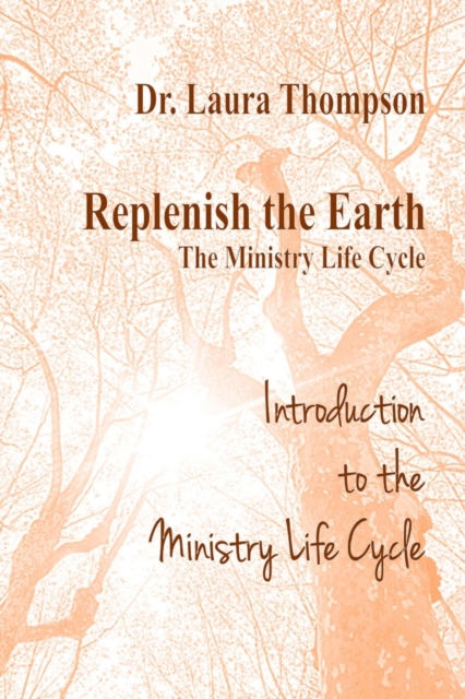 Introduction to the Ministry Life Cycle, Paperback / softback Book