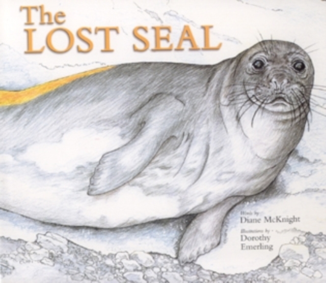 The Lost Seal, Hardback Book