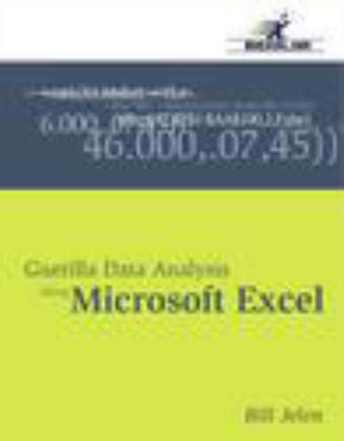 Guerilla Data Analysis Using Microsoft Excel, Paperback Book